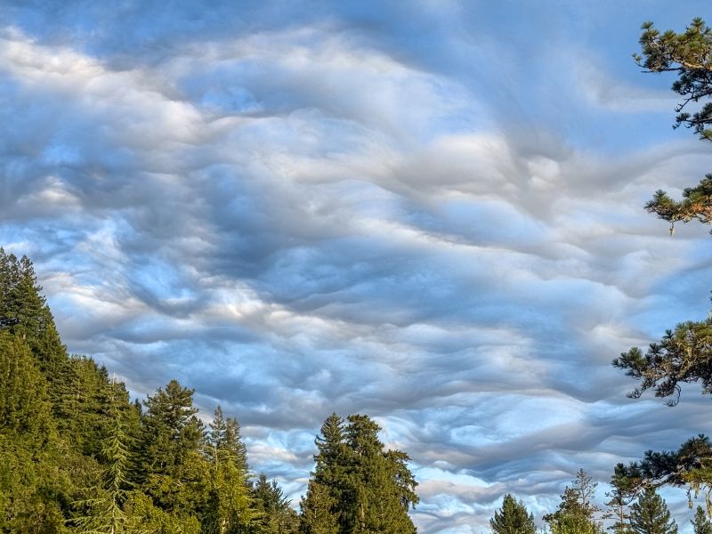 Santa Cruz Mountains Clouds