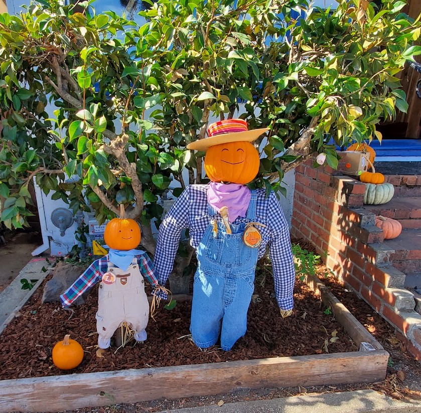 Felton Scarecrow contest