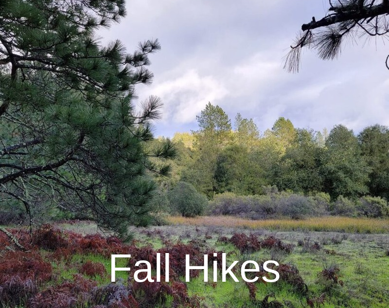 Fall Hikes