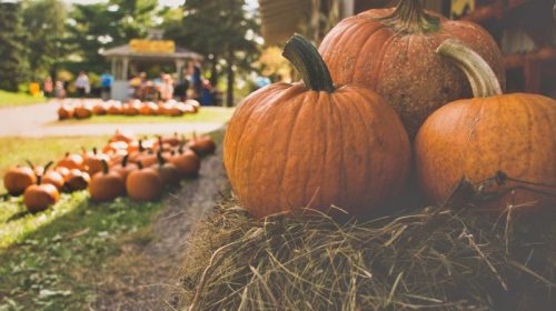 Halloween events Santa Cruz County San Lorenzo Valley 2026